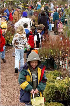 2003